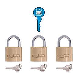 P1L30 - Brass Keyed Alike -P1L30_o_T